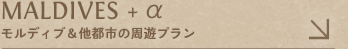 モルディブ&他都市