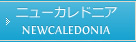 ニューカレドニア