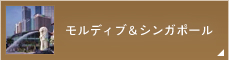 モルディブ＆シンガポール