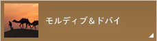 モルディブ＆ドバイ