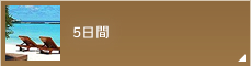 5日間