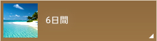 6日間