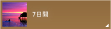 7日間