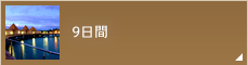 9日間