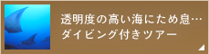 透明度の高い海にため息・・・ダイビング付きツアー