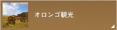オロンゴ