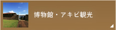 博物館・アキビ観光